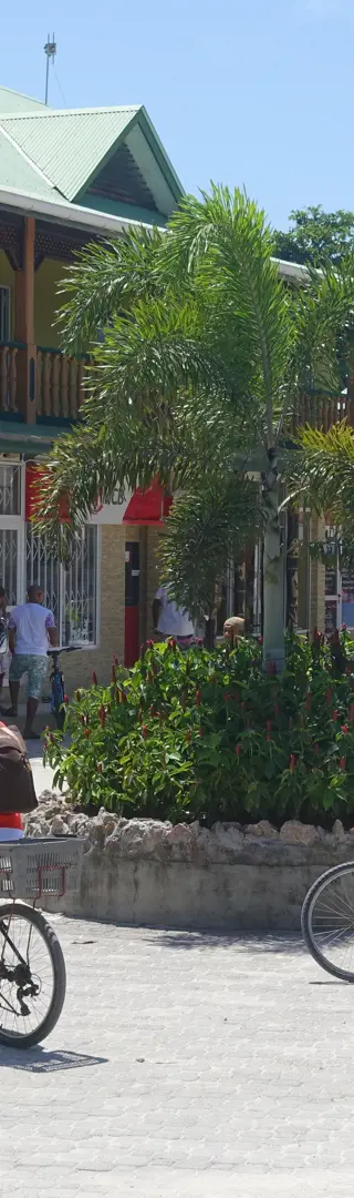 Verkehrschaos auf La Digue